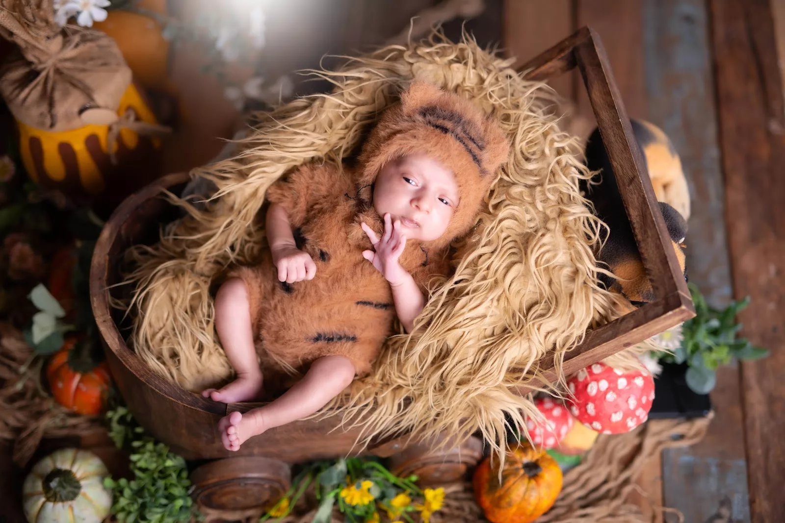 Newborn dressed as a tiny tiger in a wooden cradle