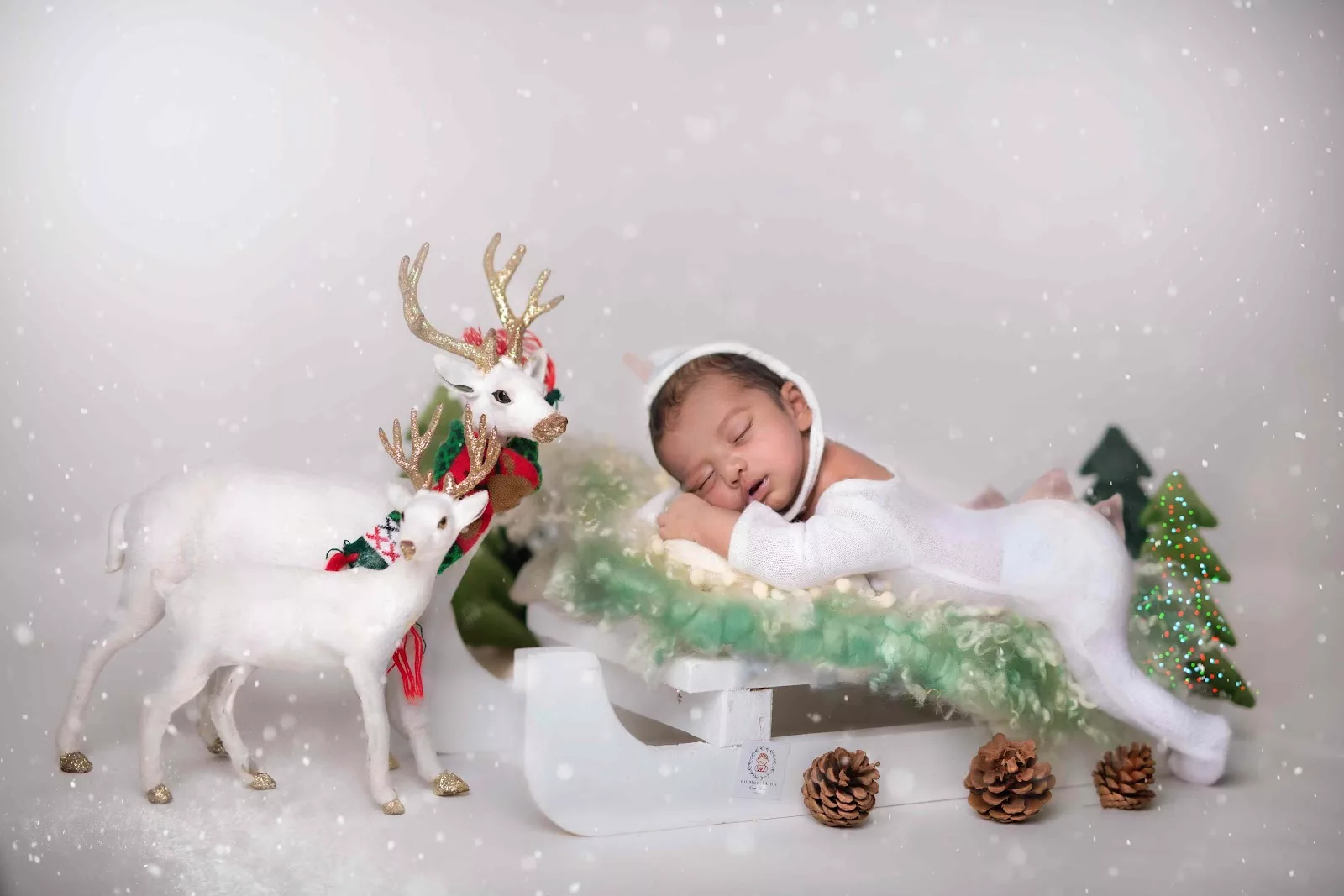 Newborn sleeping in a winter scene with white reindeer